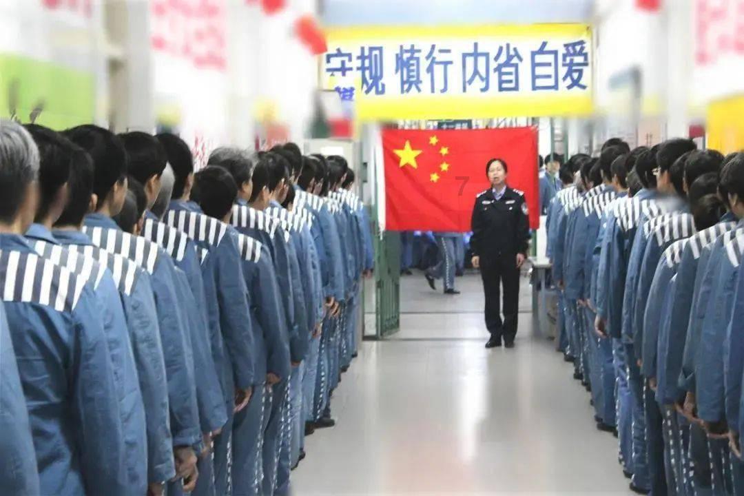 救援可爱的狮子
